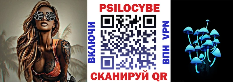 Галлюциногенные грибы Cubensis  как найти   Лаишево 